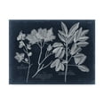 thumbnail image 1 of Trademark Fine Art 'Foliage on Navy VI' Canvas Art by Vision Studio, 1 of 4