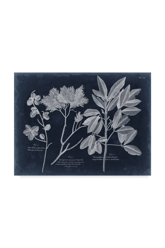 'Foliage on Navy VI' Canvas Art by Vision Studio