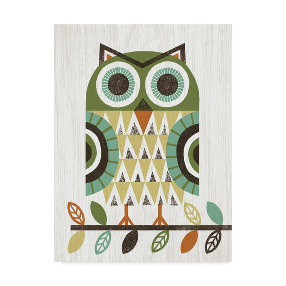 Trademark Fine Art 'Folk Lodge Owl Earth' Canvas Art by Michael Mullan