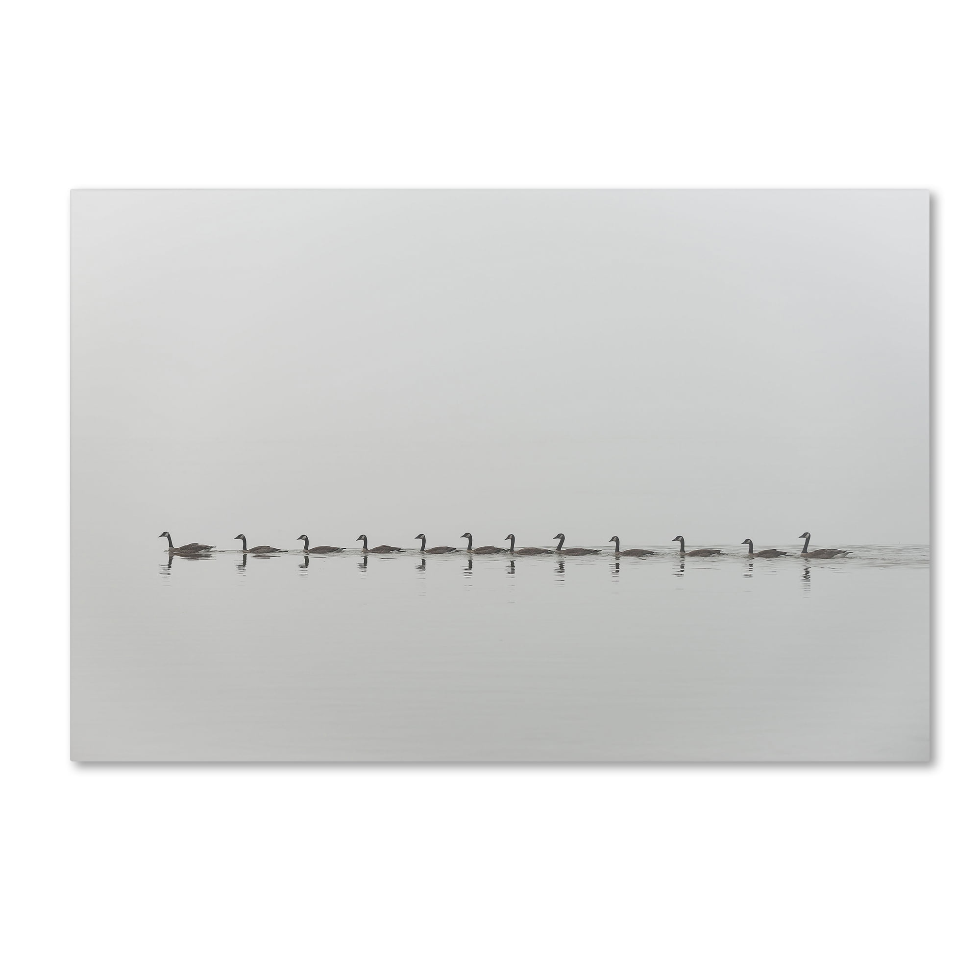 Trademark Fine Art 'Follow Me' Canvas Art by Nick Kalathas