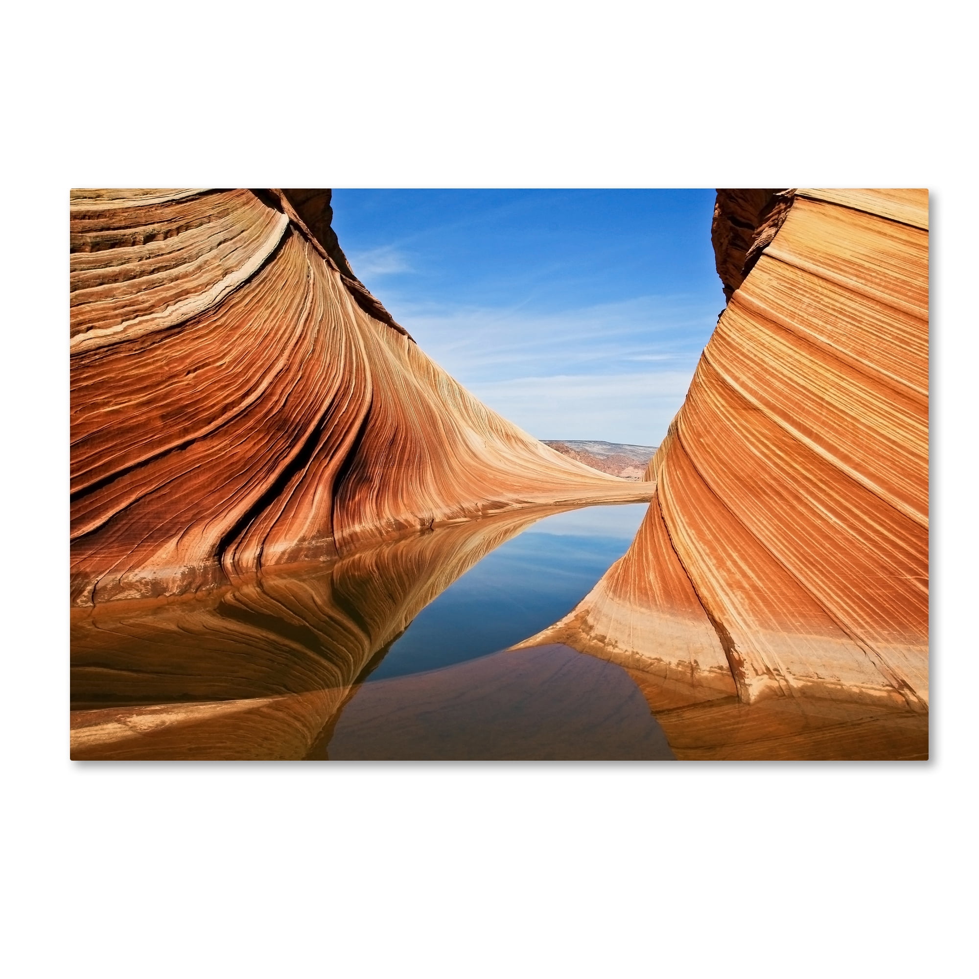 Trademark Fine Art 'Follow The Flow' Canvas Art by Nanouk El Gamal