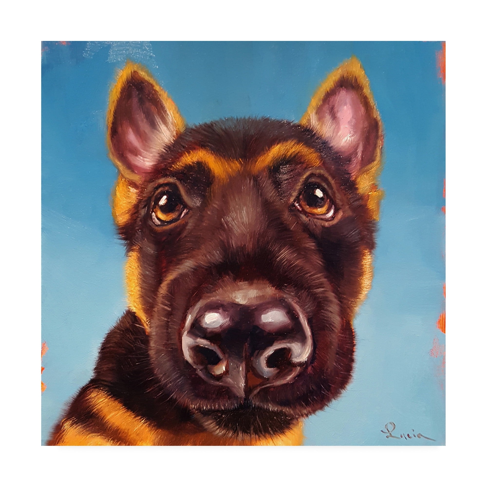 Trademark Fine Art 'Follow Your Nose 1' Canvas Art by Lucia Hefferna