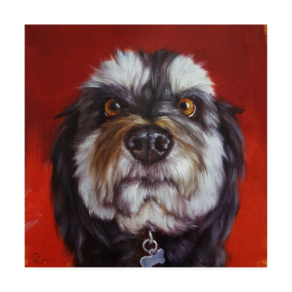 Trademark Fine Art 'Follow Your Nose 11' Canvas Art by Lucia Hefferna