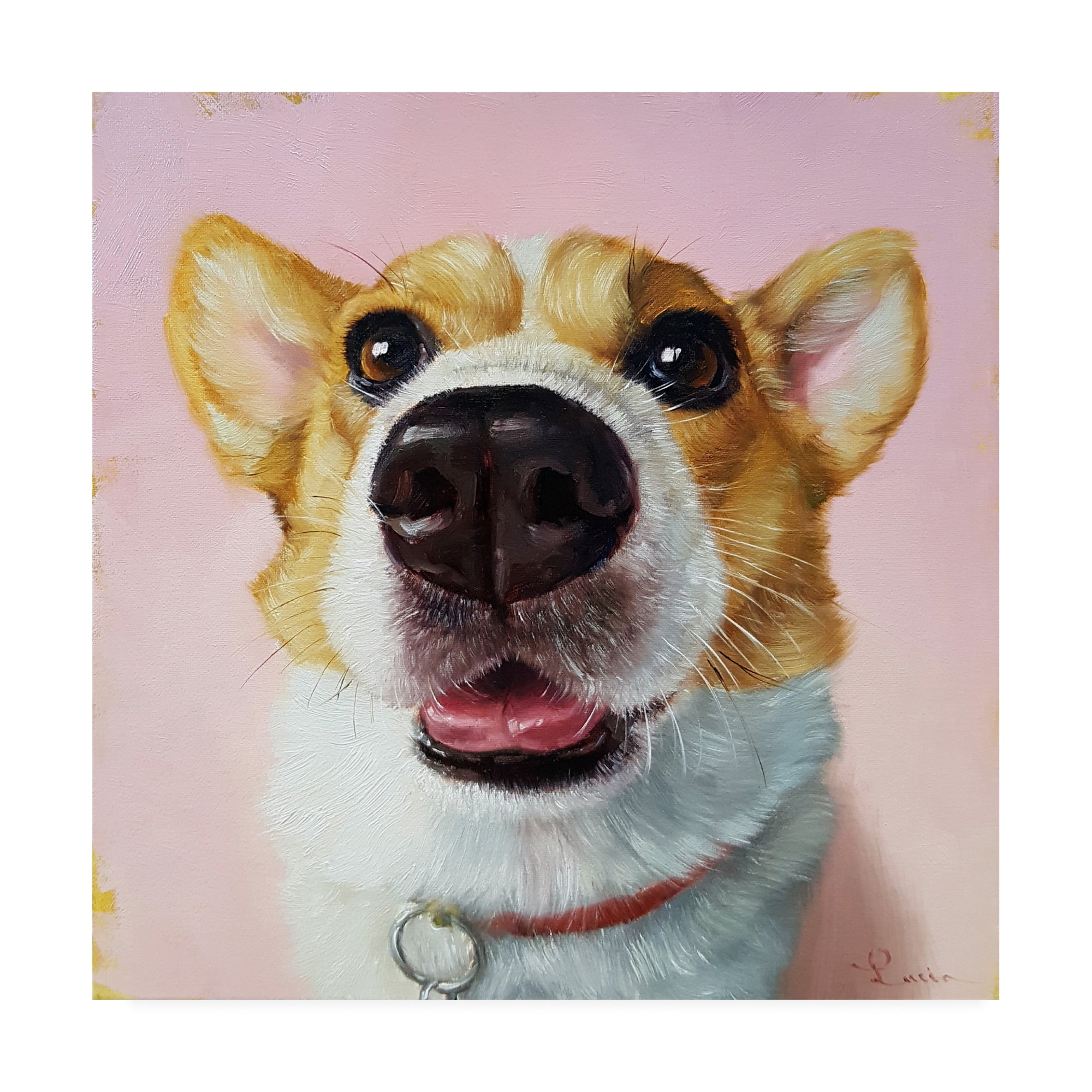 Trademark Fine Art 'Follow Your Nose 3' Canvas Art by Lucia Hefferna