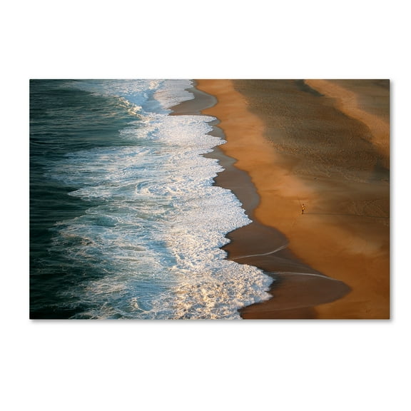 Trademark Fine Art 'Food For The Soul' Canvas Art by Jose Augusto Suzano