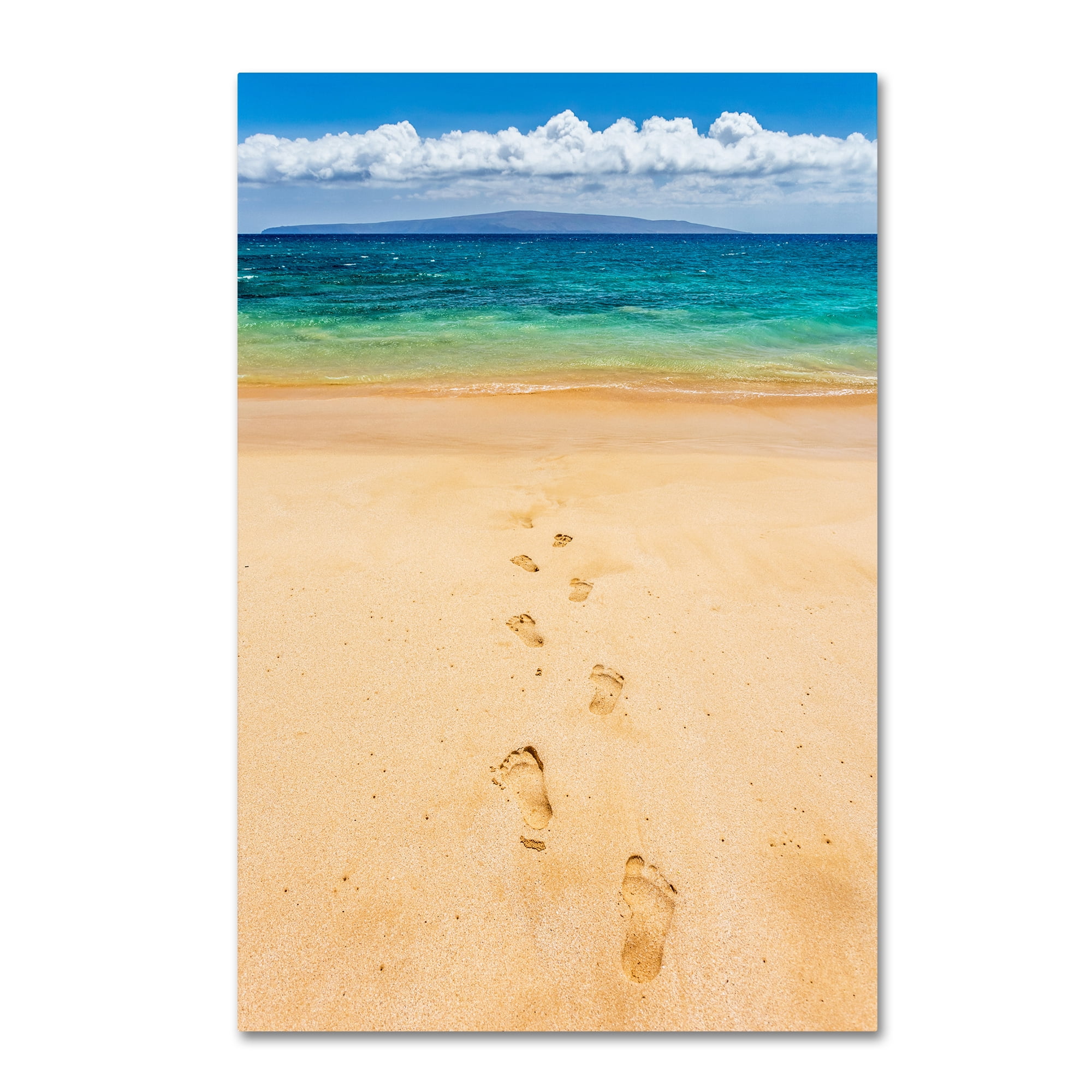 Trademark Fine Art 'Footprints in the Sand' Canvas Art by Pierre Leclerc