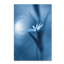 Trademark Fine Art 'For Elise' Canvas Art by Bee Thalin