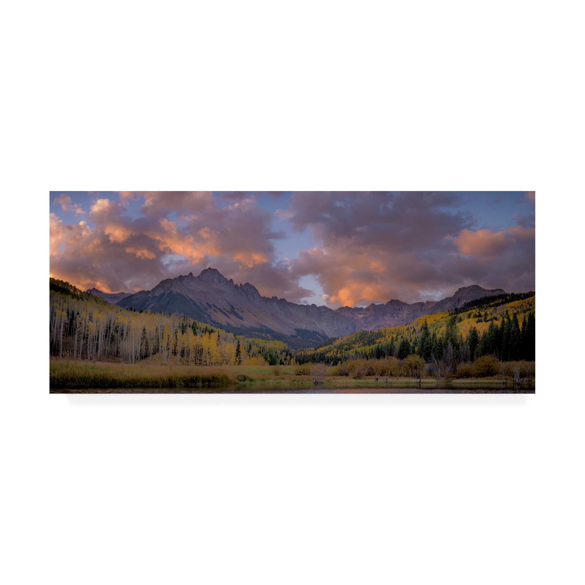 Trademark Fine Art 'Forest 2 Mountains' Canvas Art by Dan Ballard