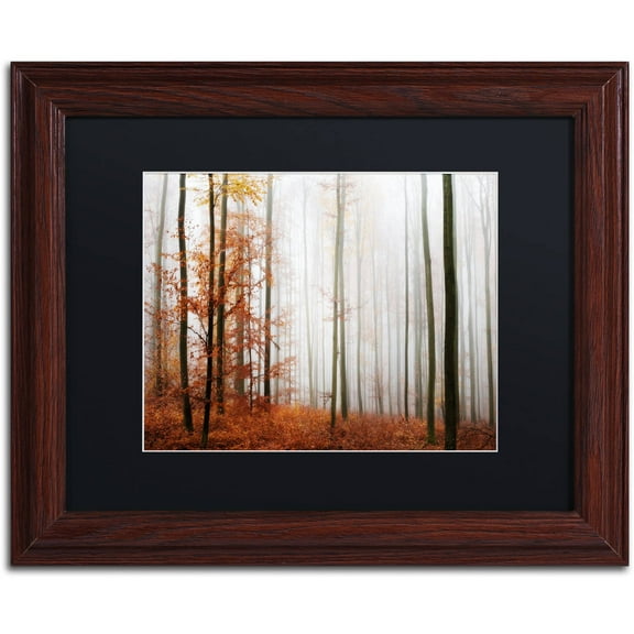 Trademark Fine Art "Forest Corner" Canvas Art by Philippe Sainte-Laudy Black Matte, Wood Frame