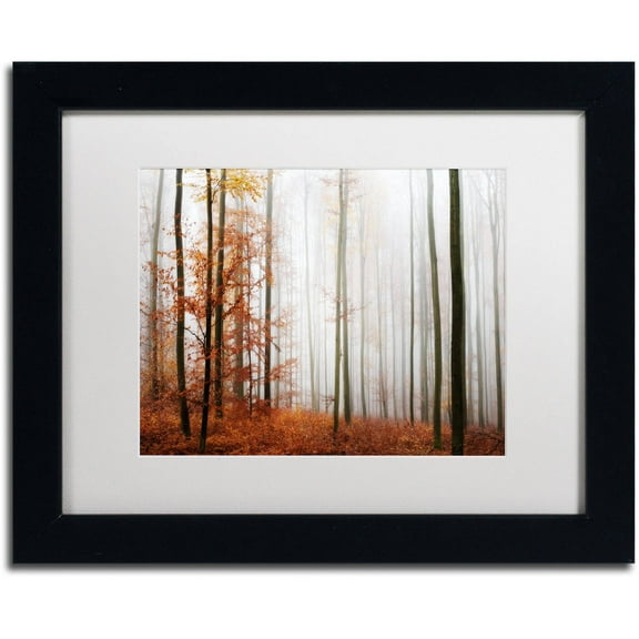 Trademark Fine Art "Forest Corner" Canvas Art by Philippe Sainte-Laudy White Matte, Black Frame
