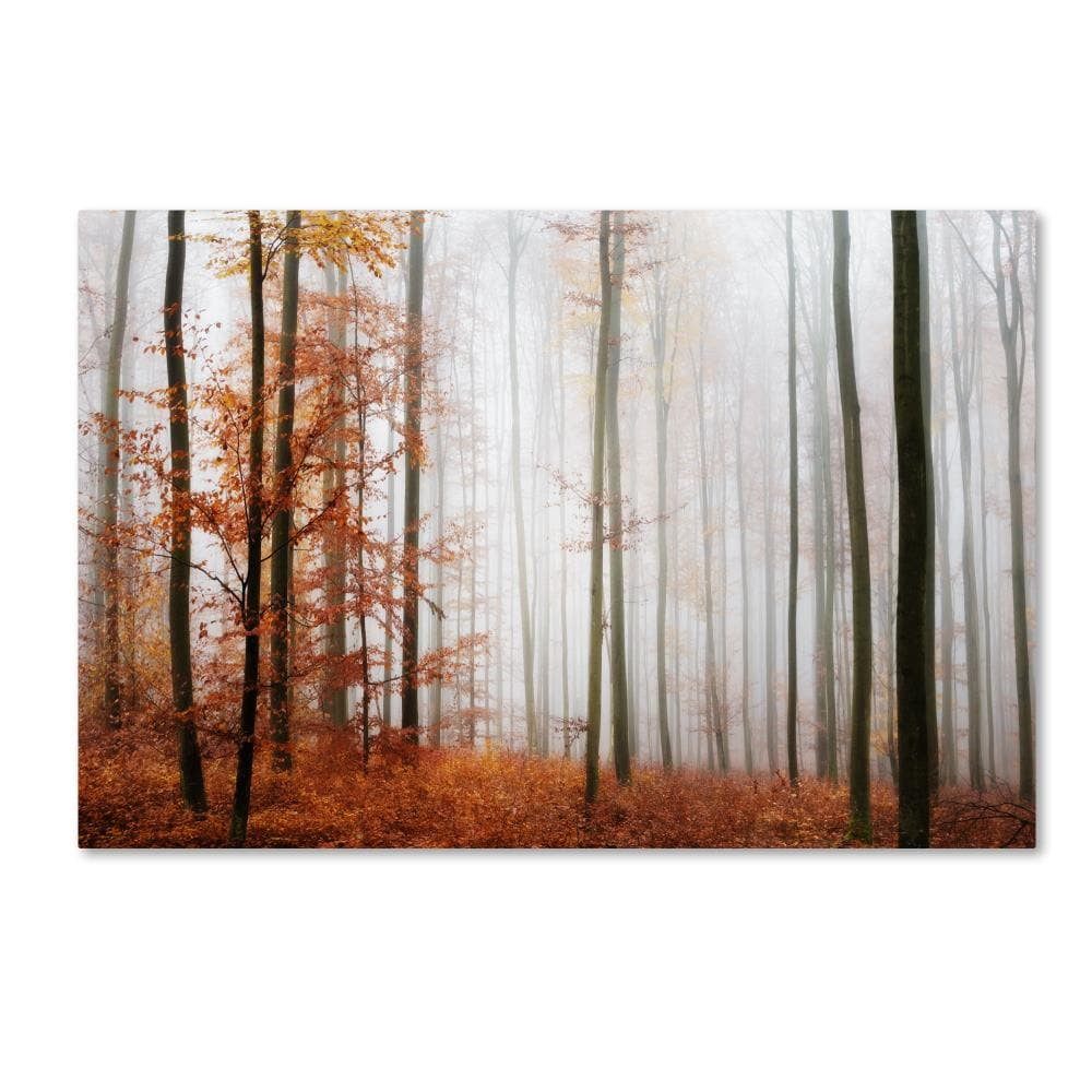 Philippe Sainte-Laudy Forest Corner Autumn Canvas Art 16" x 24"