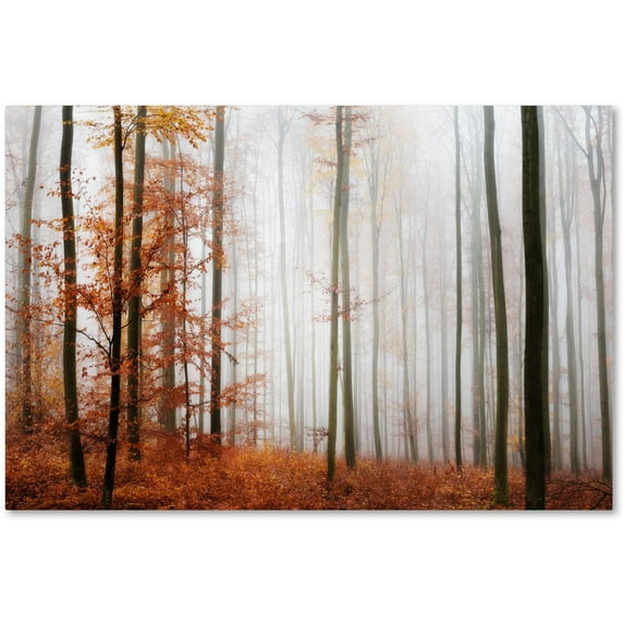 Trademark Fine Art "Forest Corner" Canvas Art by Philippe Sainte-Laudy