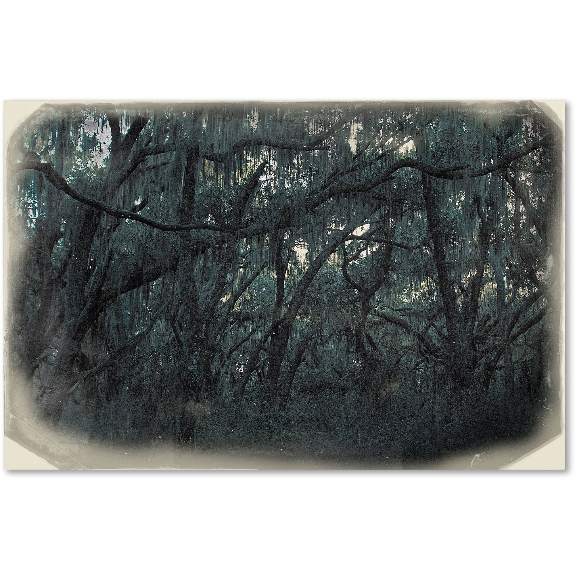 Trademark Fine Art "Forest Dreams" Canvas Art by Patty Tuggle