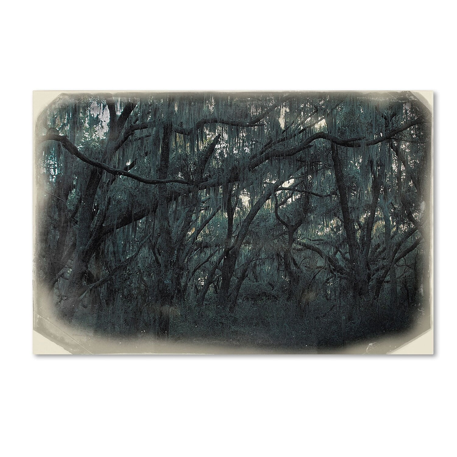 Trademark Fine Art "Forest Dreams" Canvas Art by Patty Tuggle