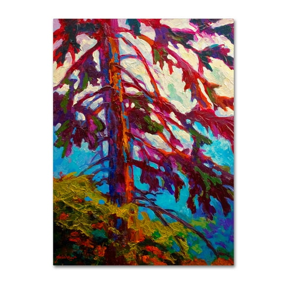Trademark Fine Art 'Forest Elder' Canvas Art by Marion Rose