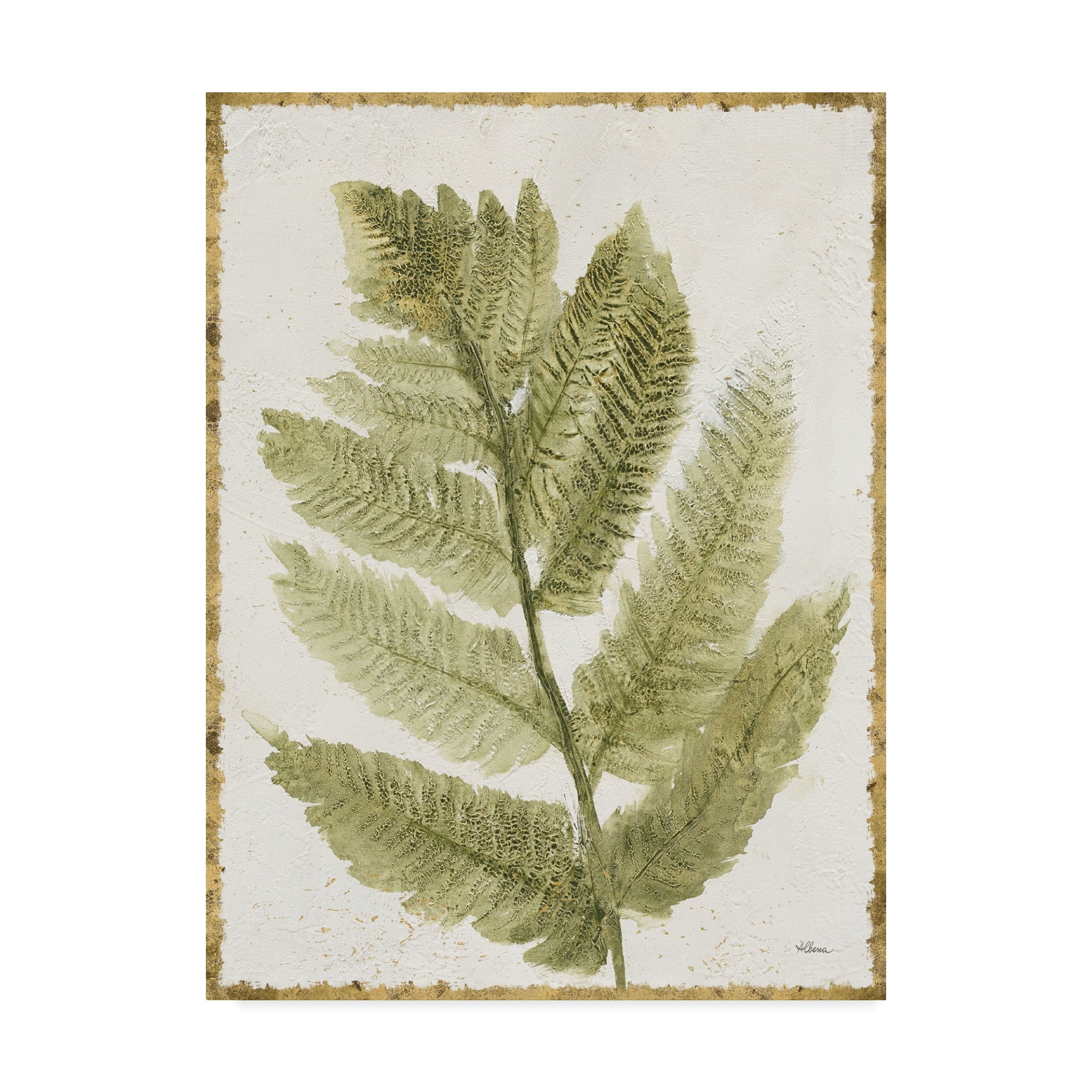 Trademark Fine Art 'Forest Ferns I Antique' Canvas Art by Albena Hristova