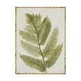 thumbnail image 1 of Trademark Fine Art 'Forest Ferns I Antique' Canvas Art by Albena Hristova, 1 of 3