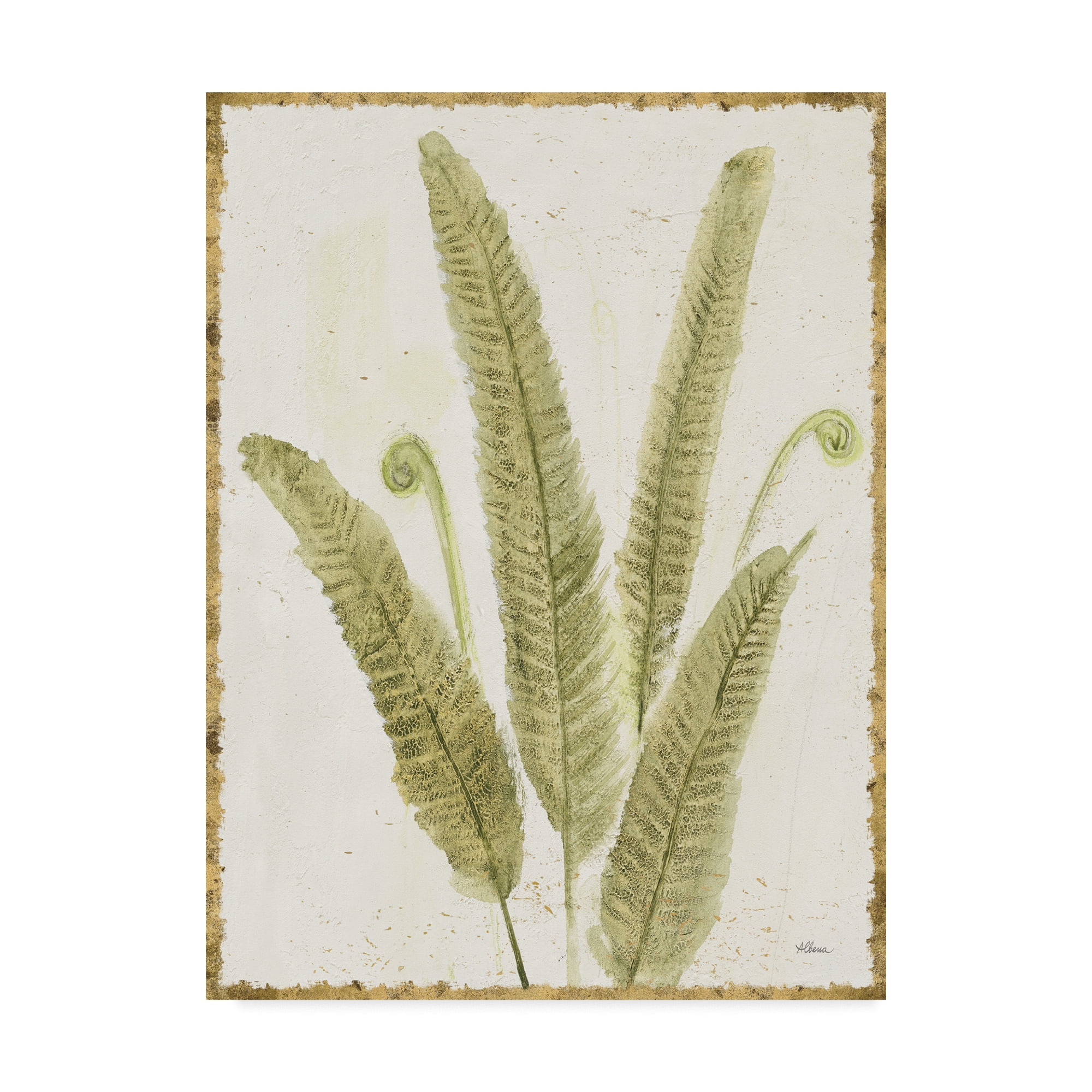 Trademark Fine Art 'Forest Ferns II v2 Antique' Canvas Art by Albena Hristova