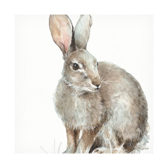 Trademark Fine Art 'Forest Friends II Soft Shade' Canvas Art by Lisa Audit