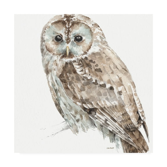 Trademark Fine Art 'Forest Friends III Soft Shade' Canvas Art by Lisa Audit