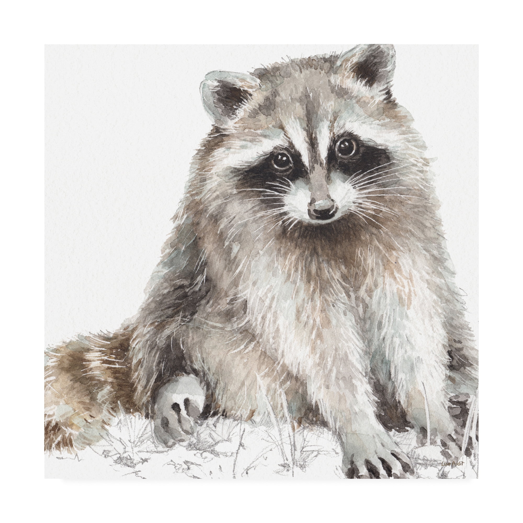 Trademark Fine Art 'Forest Friends IV Soft Shade' Canvas Art by Lisa Audit