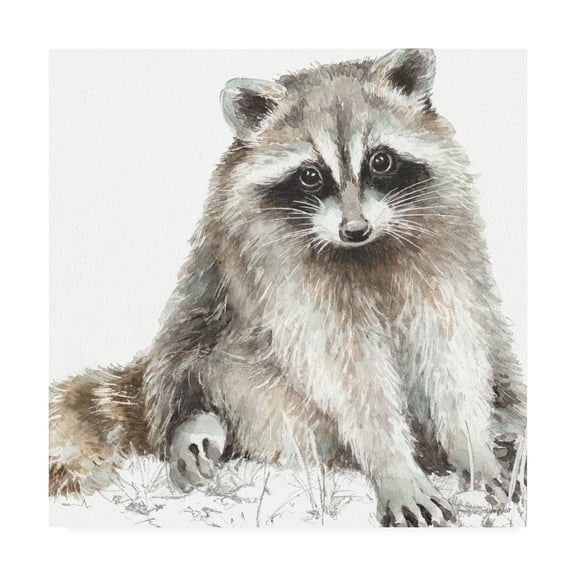 Trademark Fine Art 'Forest Friends IV Soft Shade' Canvas Art by Lisa Audit