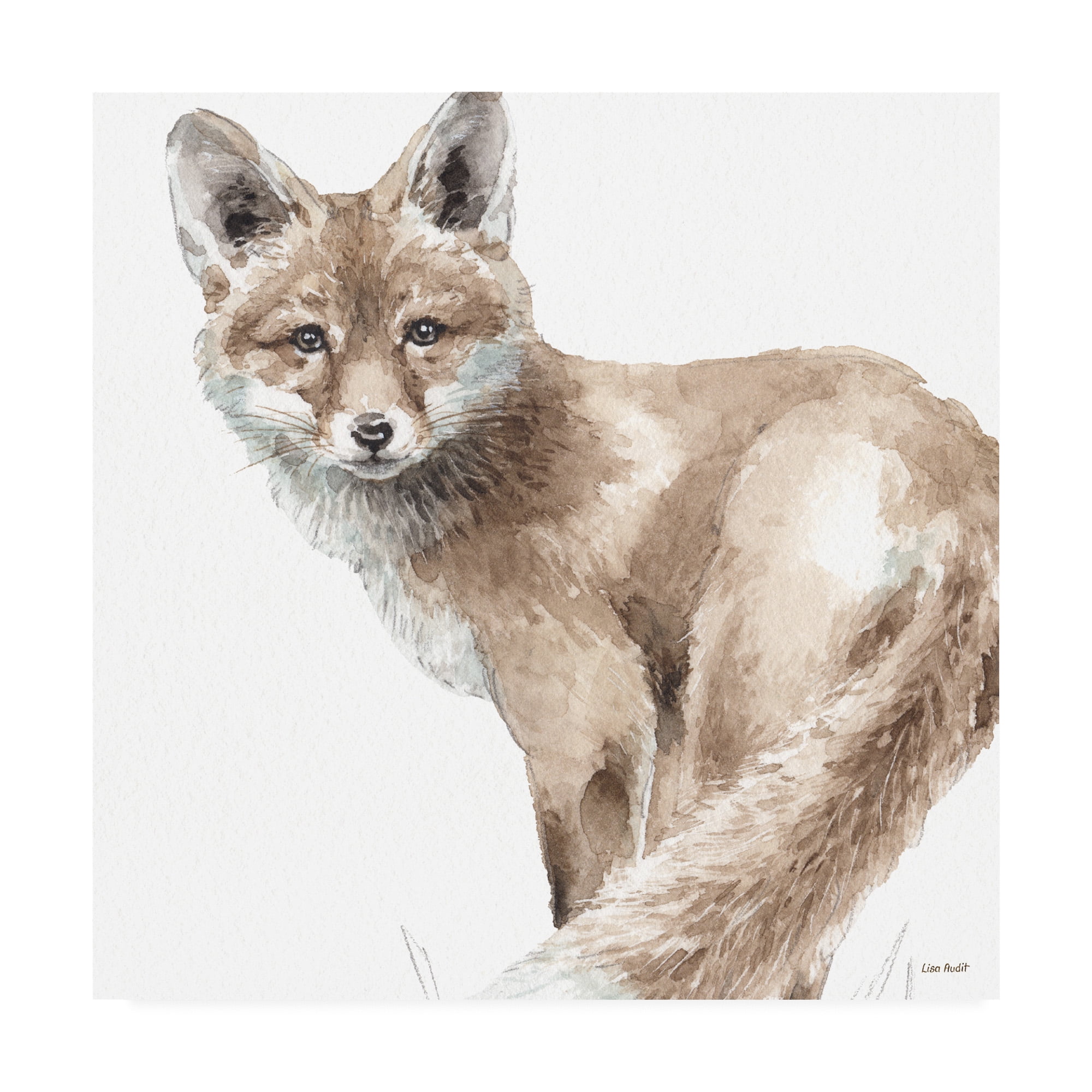 Trademark Fine Art 'Forest Friends V' Canvas Art by Lisa Audit