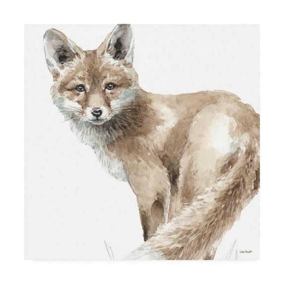 Trademark Fine Art 'Forest Friends V' Canvas Art by Lisa Audit