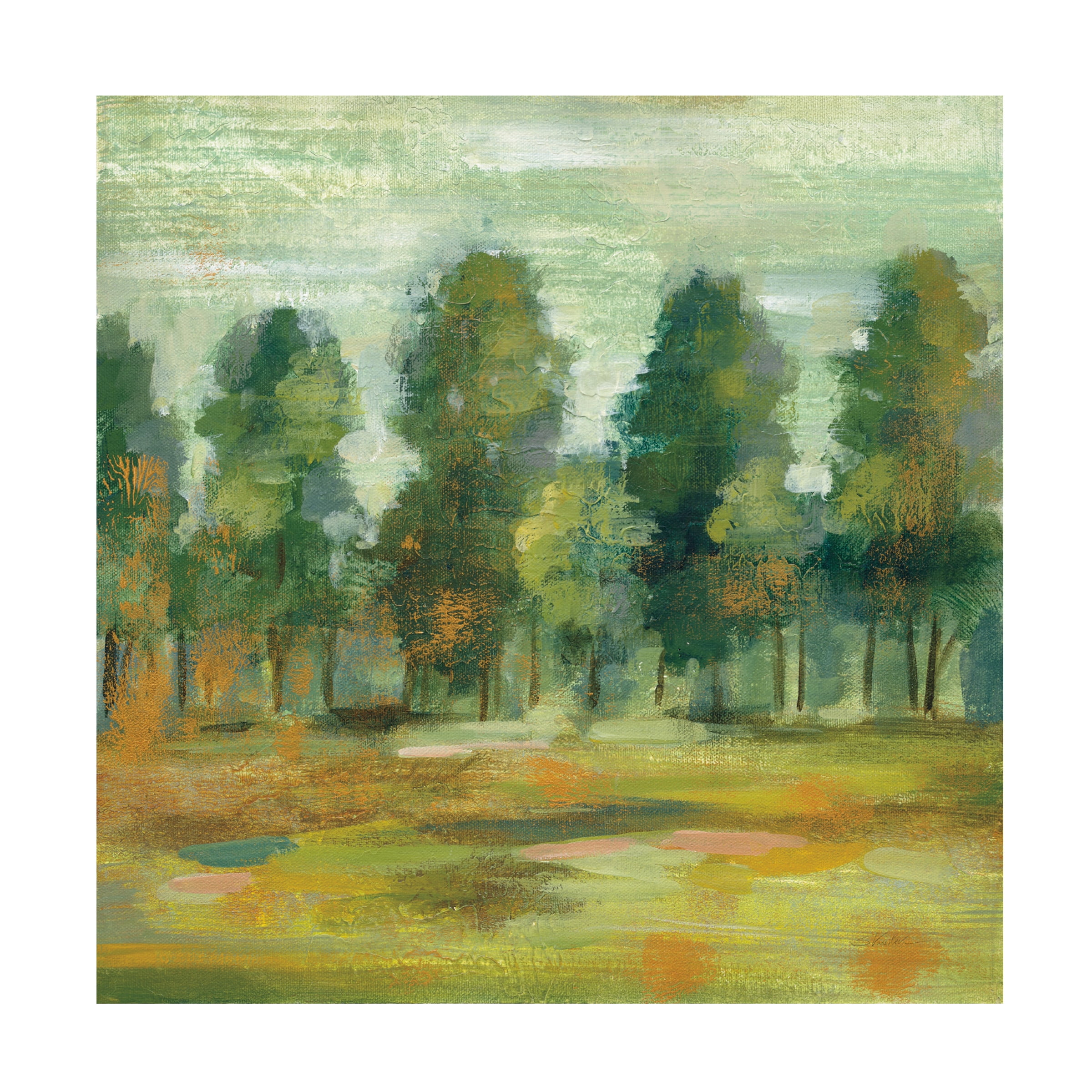 Trademark Fine Art 'Forest II' Canvas Art by Silvia Vassileva