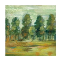 Trademark Fine Art 'Forest II' Canvas Art by Silvia Vassileva