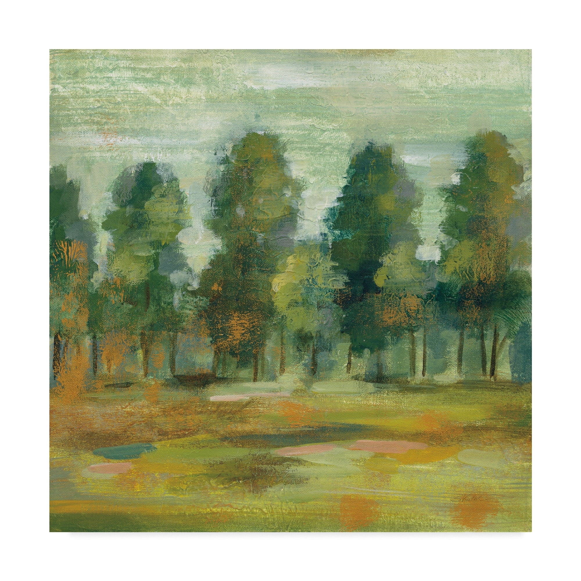 Trademark Fine Art 'Forest II' Canvas Art by Silvia Vassileva