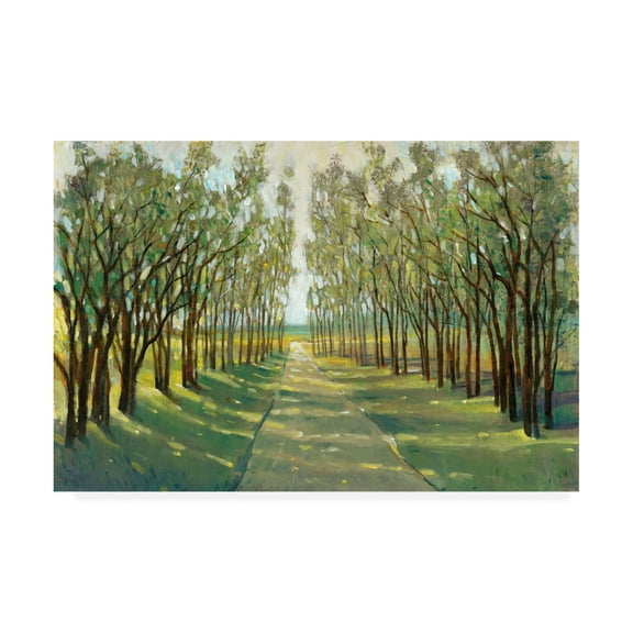 Trademark Fine Art 'Forest Path' Canvas Art by Tim OToole