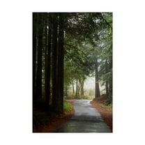 Trademark Fine Art 'Forest Road' Canvas Art by Lance Kuehne