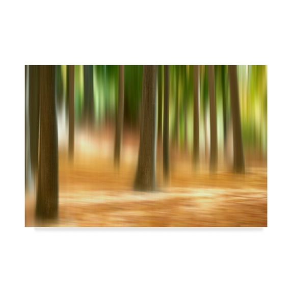 Trademark Fine Art 'Forest Run III' Canvas Art by James McLoughlin