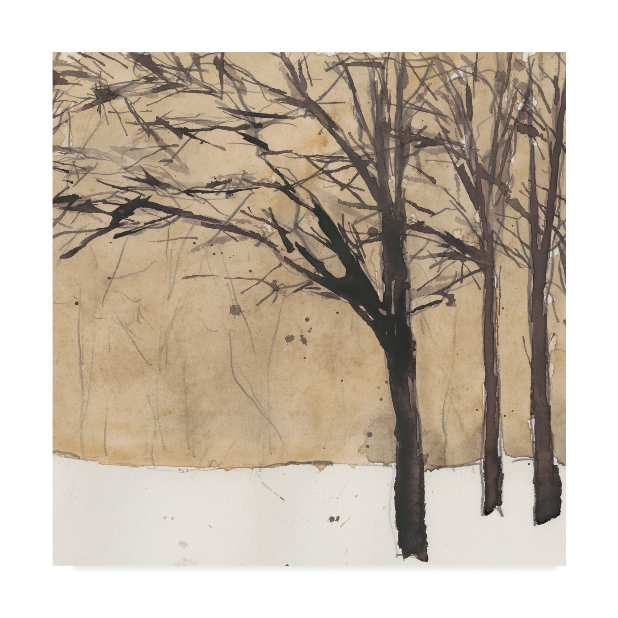 Trademark Fine Art 'Forest Sketch II' Canvas Art by Samuel Dixon