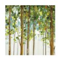 thumbnail image 1 of Trademark Fine Art 'Forest Study II' Canvas Art by Lisa Audit, 1 of 4