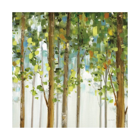 Trademark Fine Art 'Forest Study II' Canvas Art by Lisa Audit