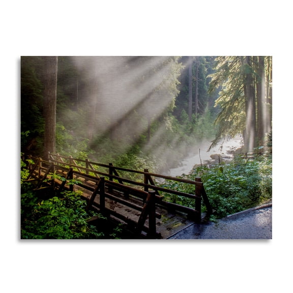 Trademark Fine Art 'Forest Sunlight' Brushed Aluminum Wall Art Art by Pierre Leclerc