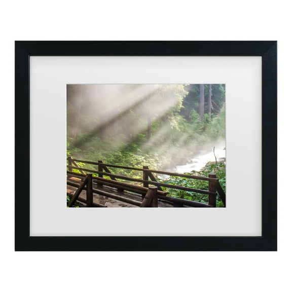 Trademark Fine Art 'Forest Sunlight' Canvas Art by Pierre Leclerc