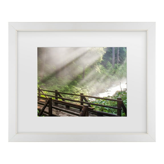 Trademark Fine Art 'Forest Sunlight' Canvas Art by Pierre Leclerc