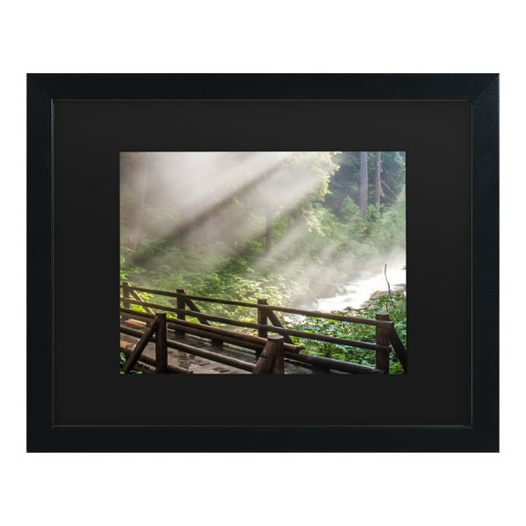 Trademark Fine Art 'Forest Sunlight' Canvas Art by Pierre Leclerc