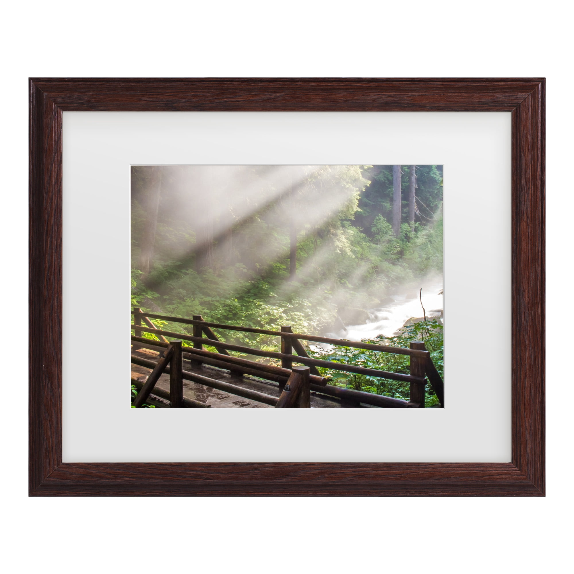 Trademark Fine Art 'Forest Sunlight' Canvas Art by Pierre Leclerc