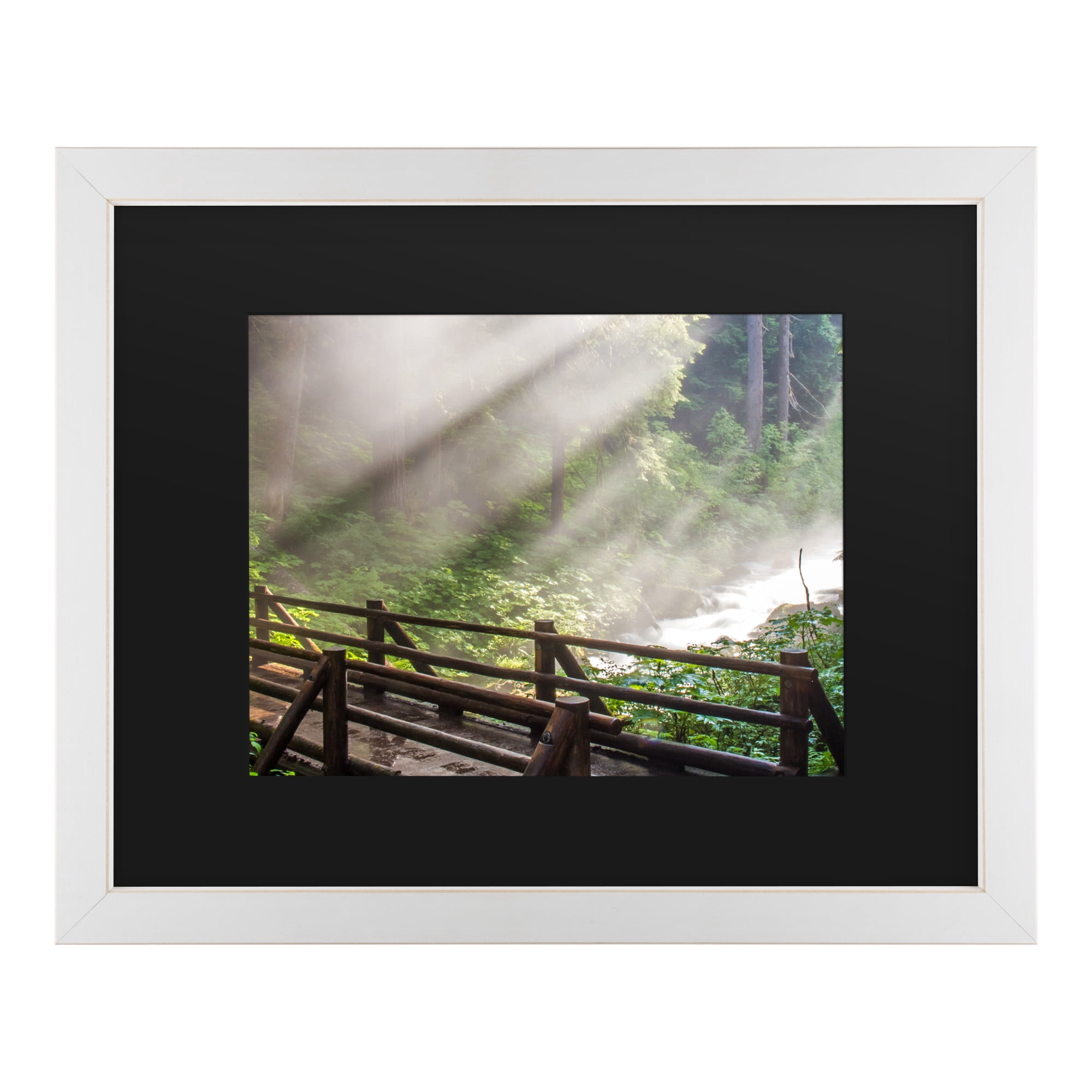 Trademark Fine Art 'Forest Sunlight' Canvas Art by Pierre Leclerc
