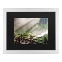 Trademark Fine Art 'Forest Sunlight' Canvas Art by Pierre Leclerc