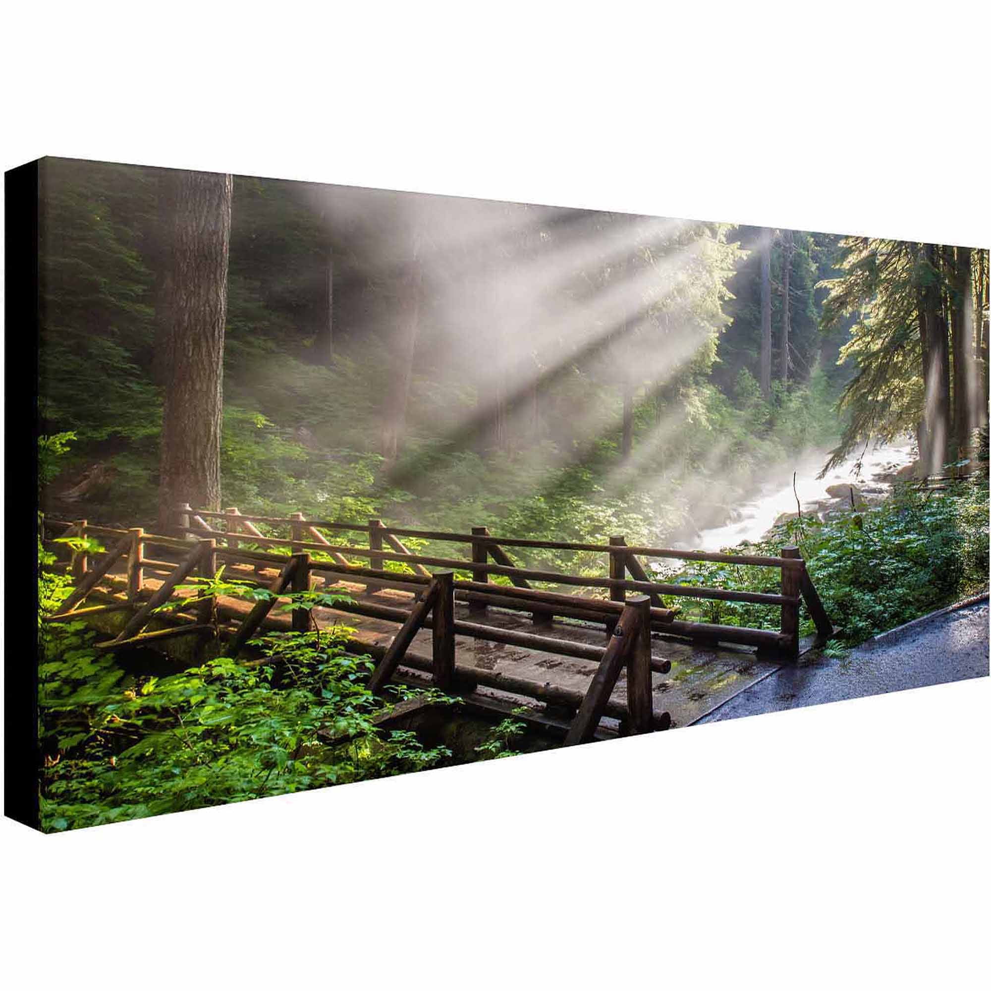 Forest Sunlight Landscape Canvas Art in Green and Brown