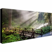 Trademark Fine Art "Forest Sunlight" Canvas Art by Pierre Leclerc