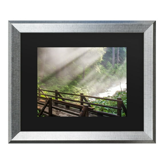 Trademark Fine Art 'Forest Sunlight' Canvas Art by Pierre Leclerc