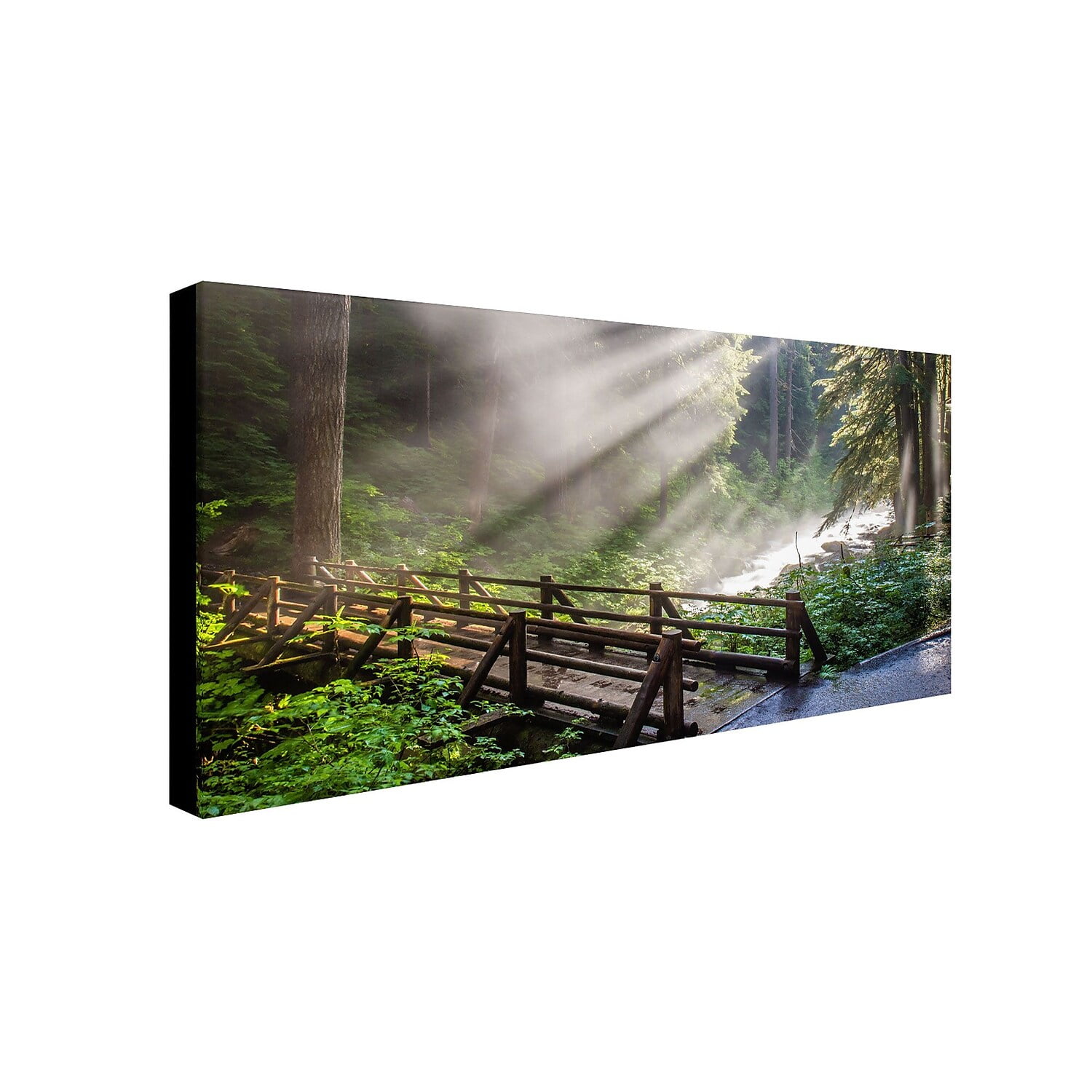 Trademark Fine Art "Forest Sunlight" Canvas Art by Pierre Leclerc