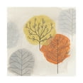 thumbnail image 1 of Trademark Fine Art 'Forest Treasure II' Canvas Art by June Erica Vess, 1 of 3