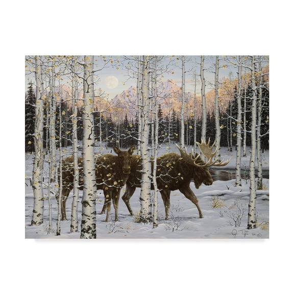 Trademark Fine Art 'Forest Twilight' Canvas Art by Jeff Tift